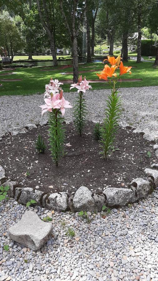 Bonic I Acollidor Triplex Amb Vistes Daire Bohí Dış mekan fotoğraf